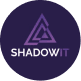 Shadow IT